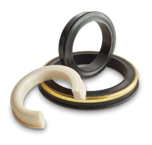 Spring-Energized PTFE Lip Seals for Cryogenic LNG Valves (-320°F)