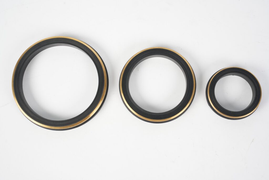 FKM Lip Seals with PTFE Backup