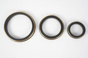 FKM Lip Seals with PTFE Backup