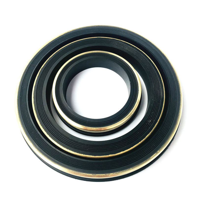 H2S Resistant HNBR Seals for Figure 2202 Unions (15,000 PSI)