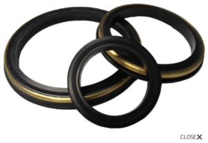 FKM Lip Seals with PTFE Backup